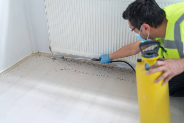 Best Local Pest Control Services  in Cabot, AR
